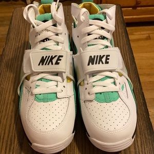 Brand new in the box Nike sneakers
